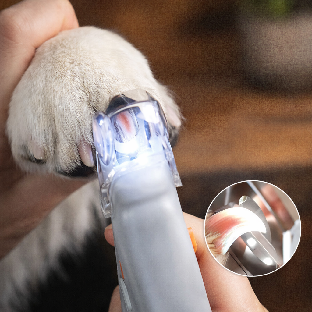 Safe Ergonomic LED Dog & Cat Nail Trimmer for Precise Grooming