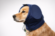 Dog Ear Protectors Noise-Reducing Canine Ear Protection Earmuffs